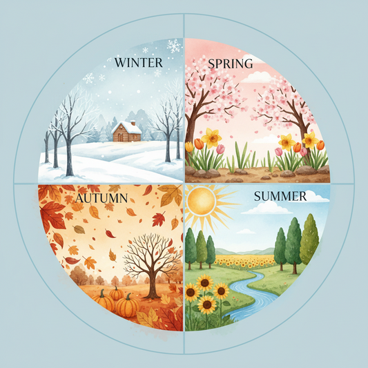 What are the Four Phases of a Woman's Cycle?